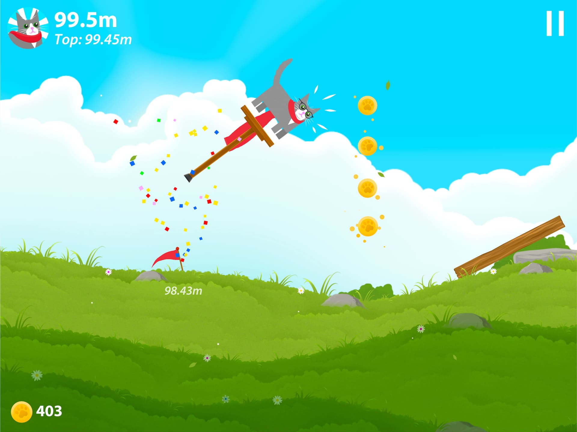 A screenshot from Pogocat. A cat on a pogostick is jumping across a meadow collecting doins.