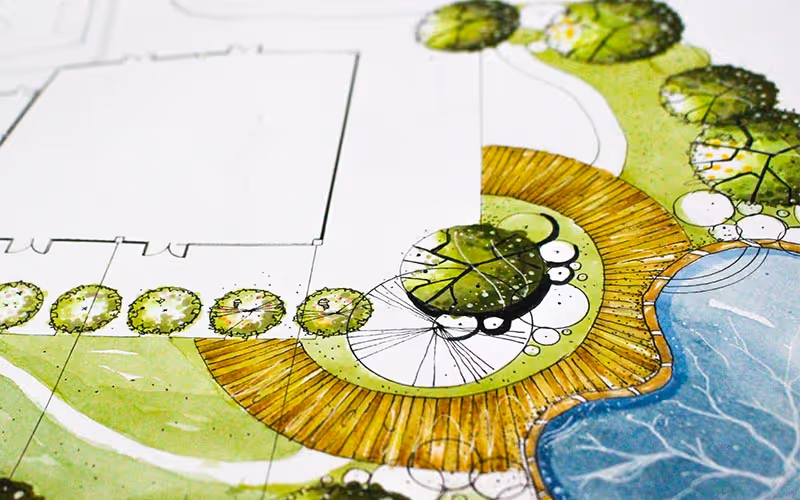 A drawing of a garden with a white background.