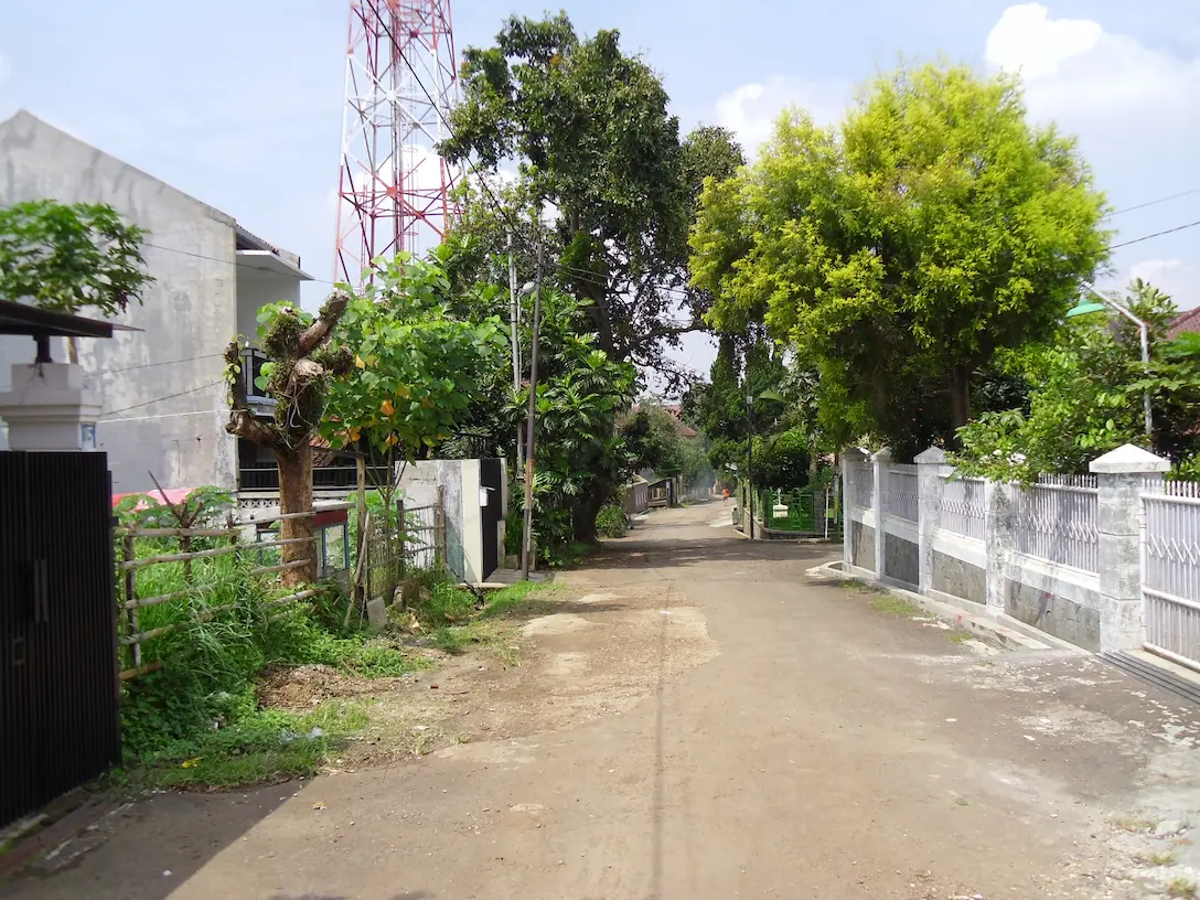 An Asian Searching for Truth in Drugs and Mysticism