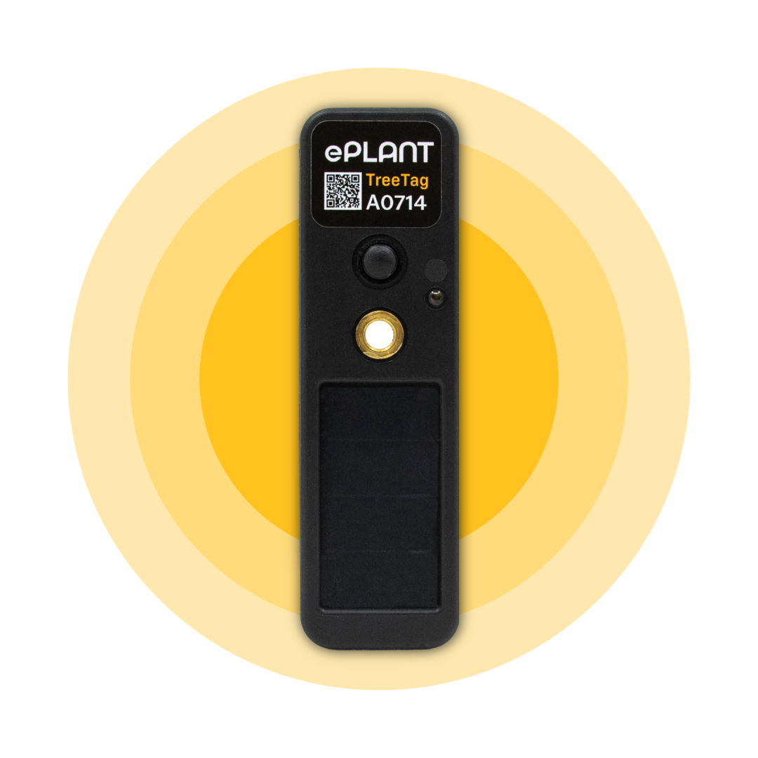An image of the TreeTag, a IoT dendrometer