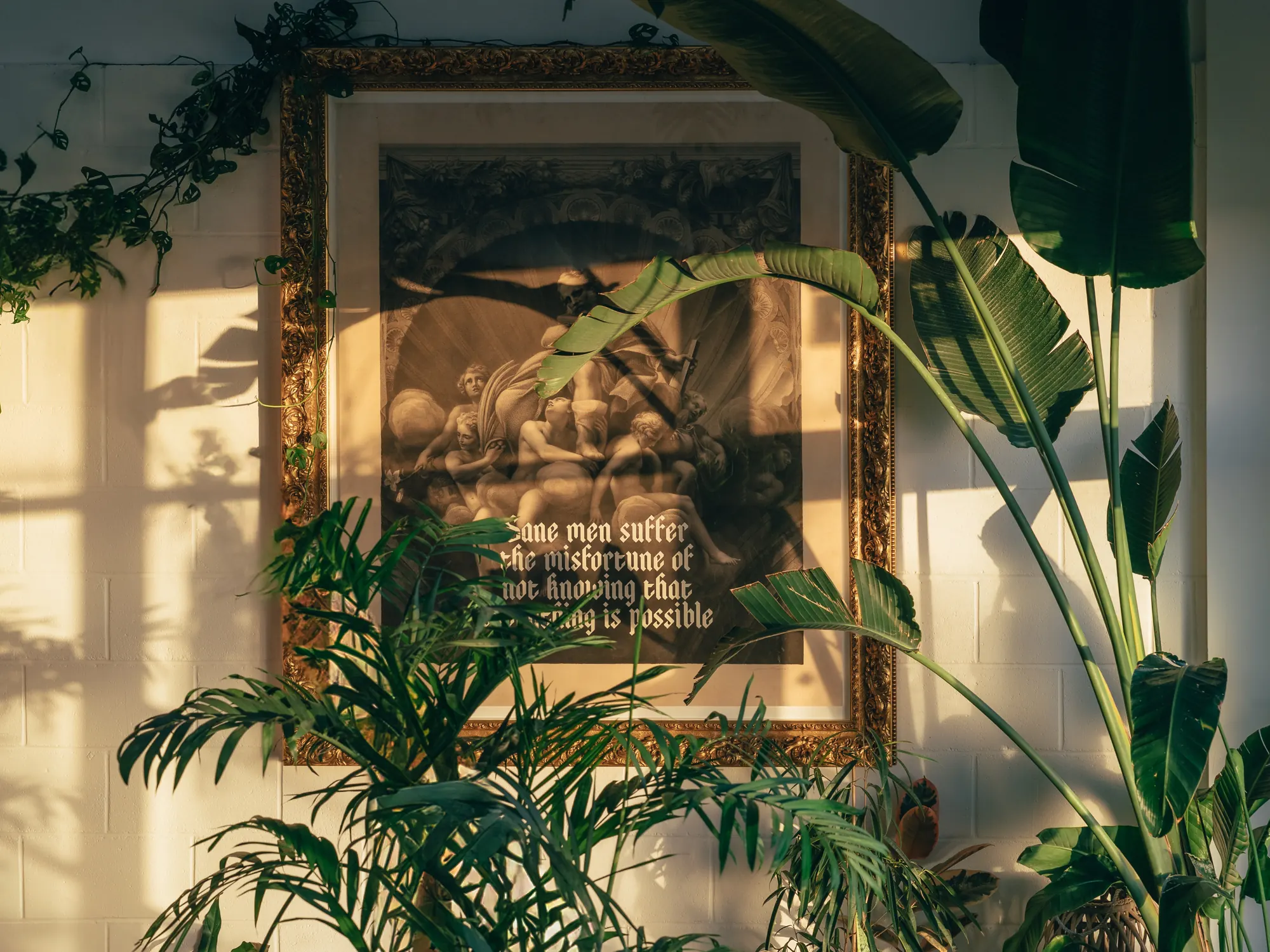 Plants and a gold-framed print on the wall at Breathe