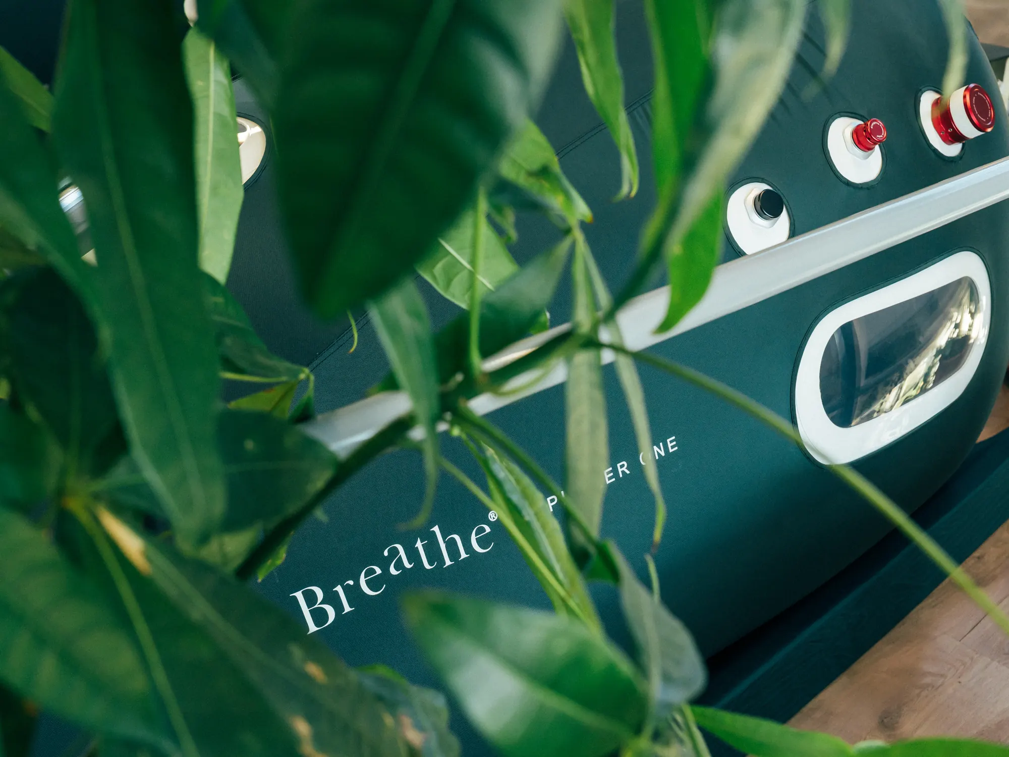 A Breathe hyperbaric chamber seen through the leaves of a plant