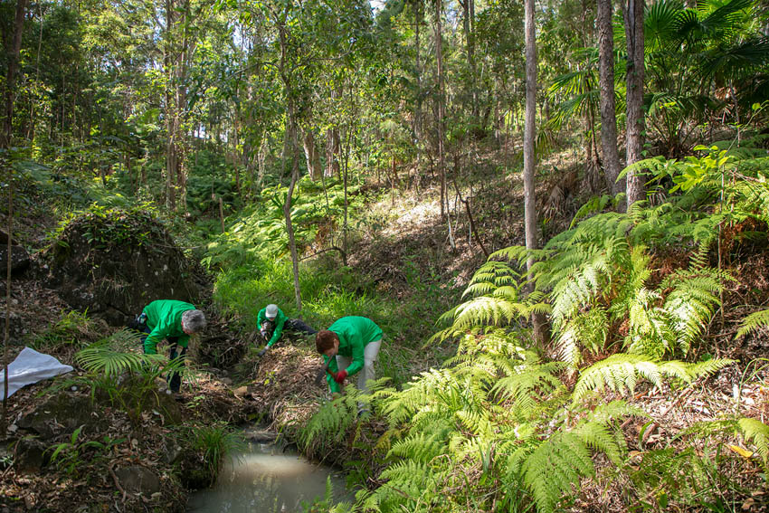 foote sanctuary association volunteers