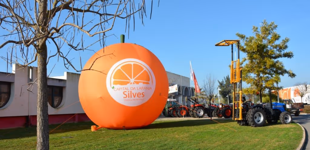 The Orange Festival In the Algarve.