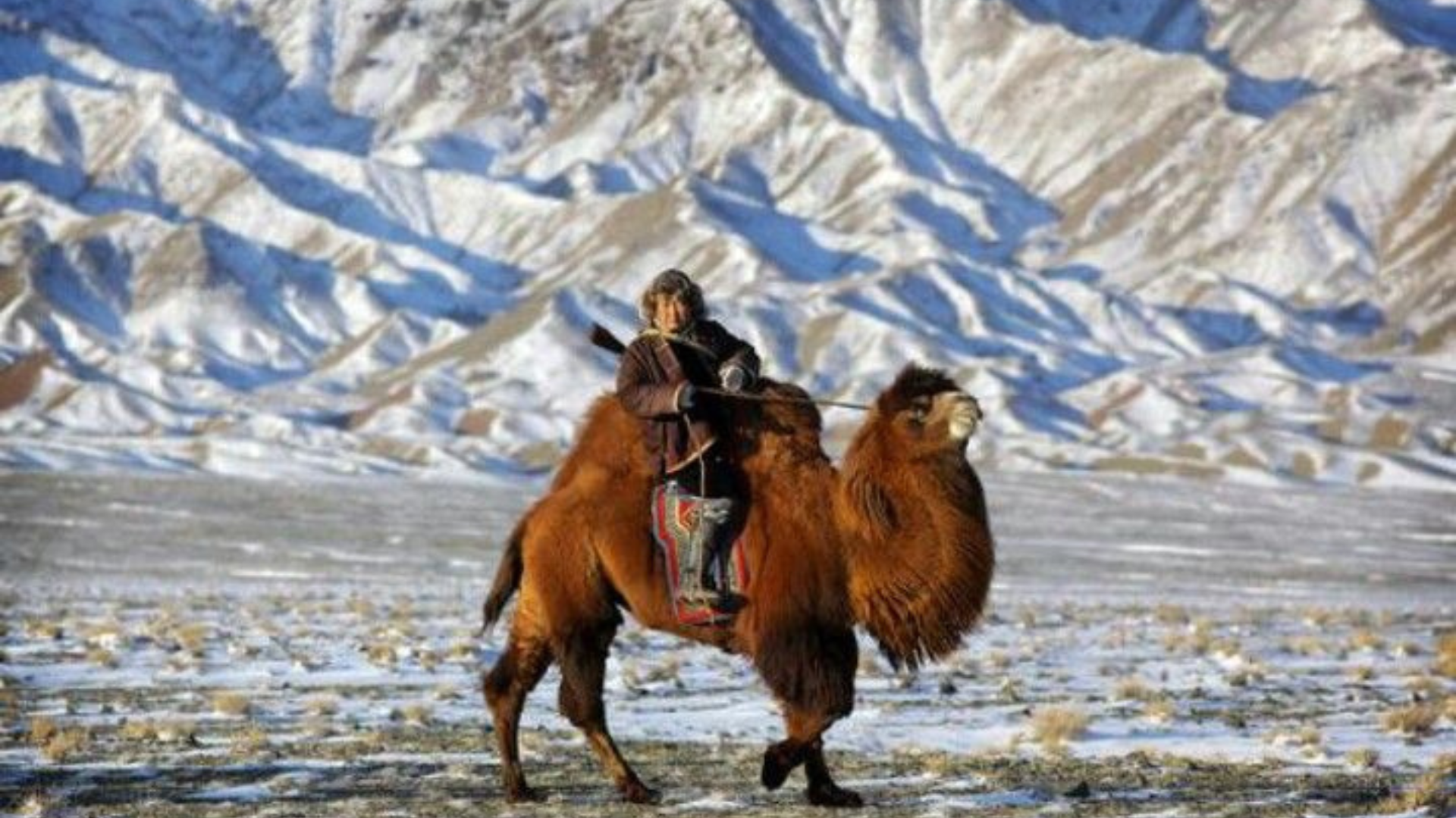 The Nomadic Anchor: Slow Travel in Central Mongolia