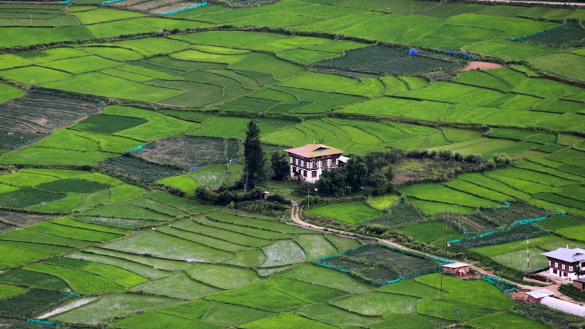 Hearth and Harvest: Village Life in Bhutan