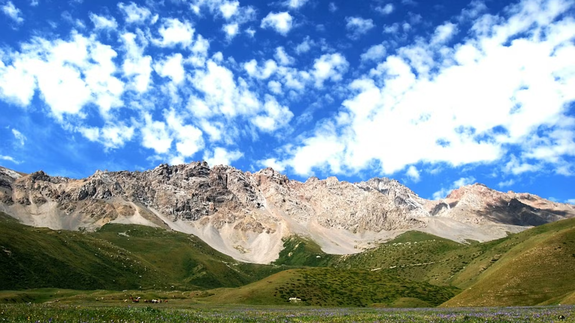 Where the Steppe Meets the Mountains
