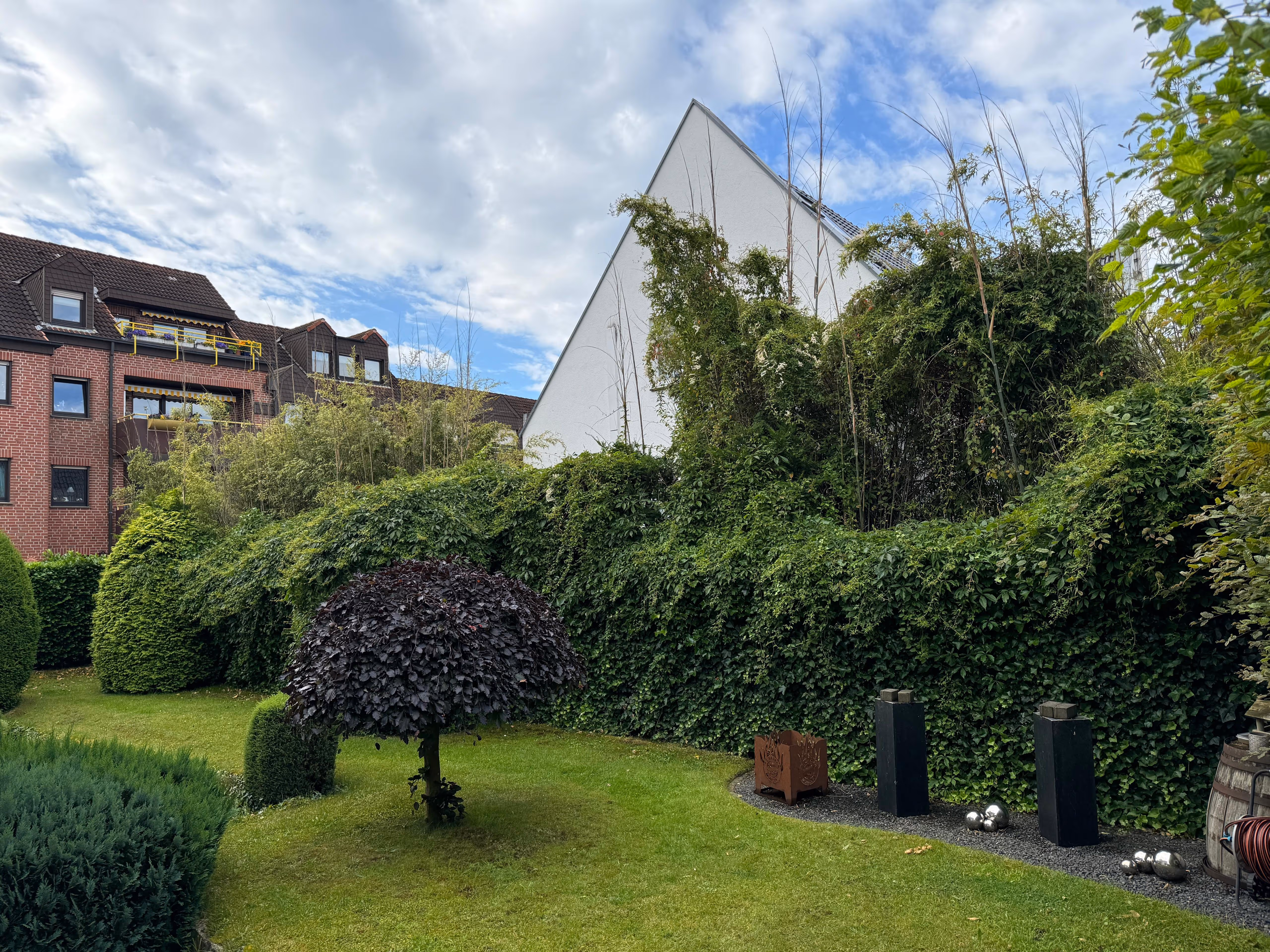 Gepflegter Gartenbereich mit Rasen, Formschnitten und dicht bewachsener Efeuwand im Hintergrund - Lindemann Bau GmbH