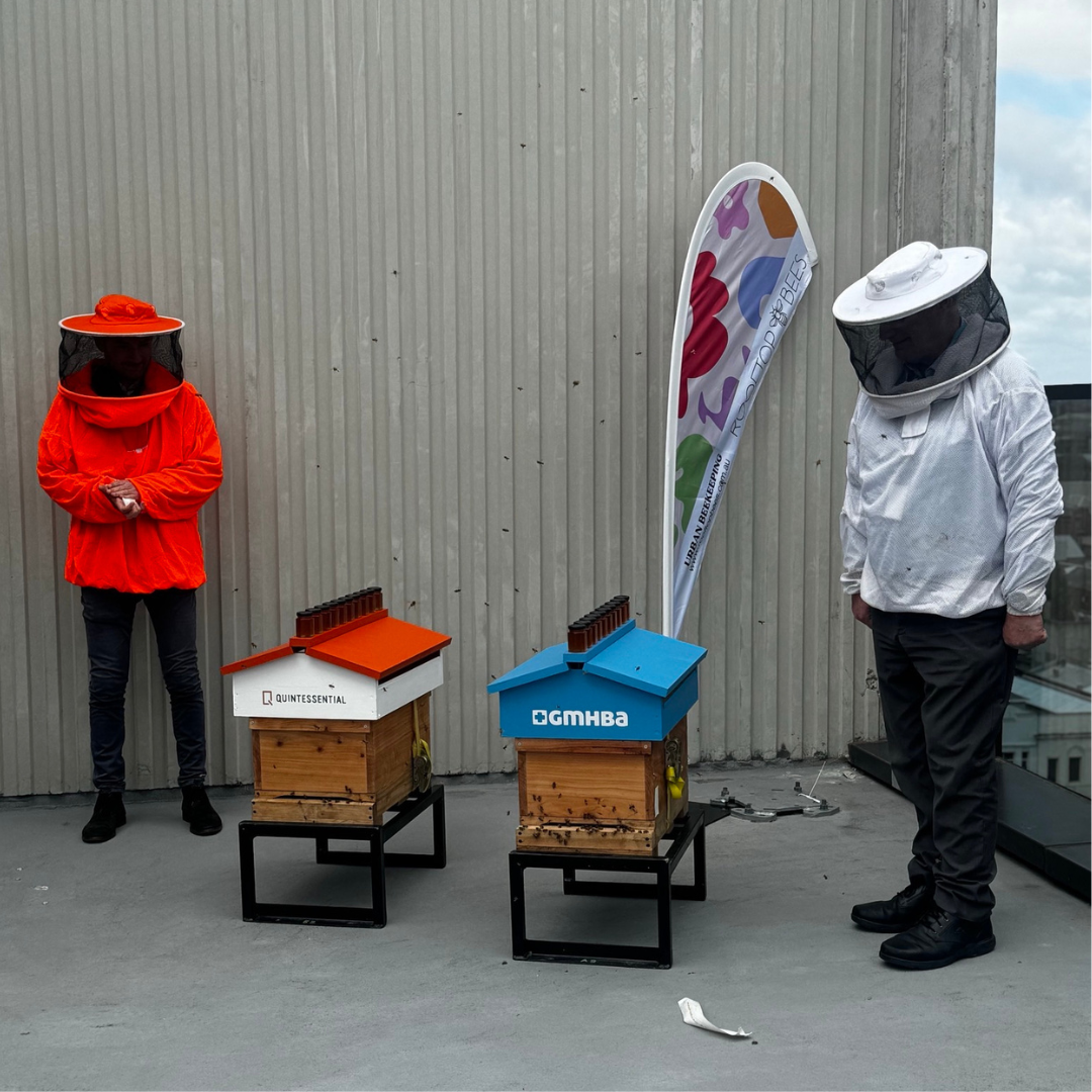 60 Moorabool Street: A Hive of Activity!