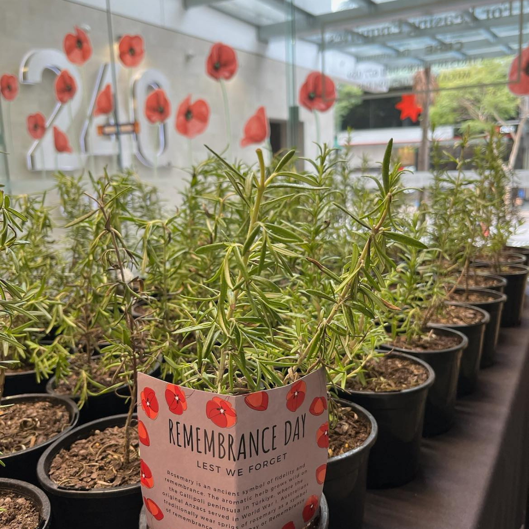 Honouring Remembrance Day at 240 Queen Street