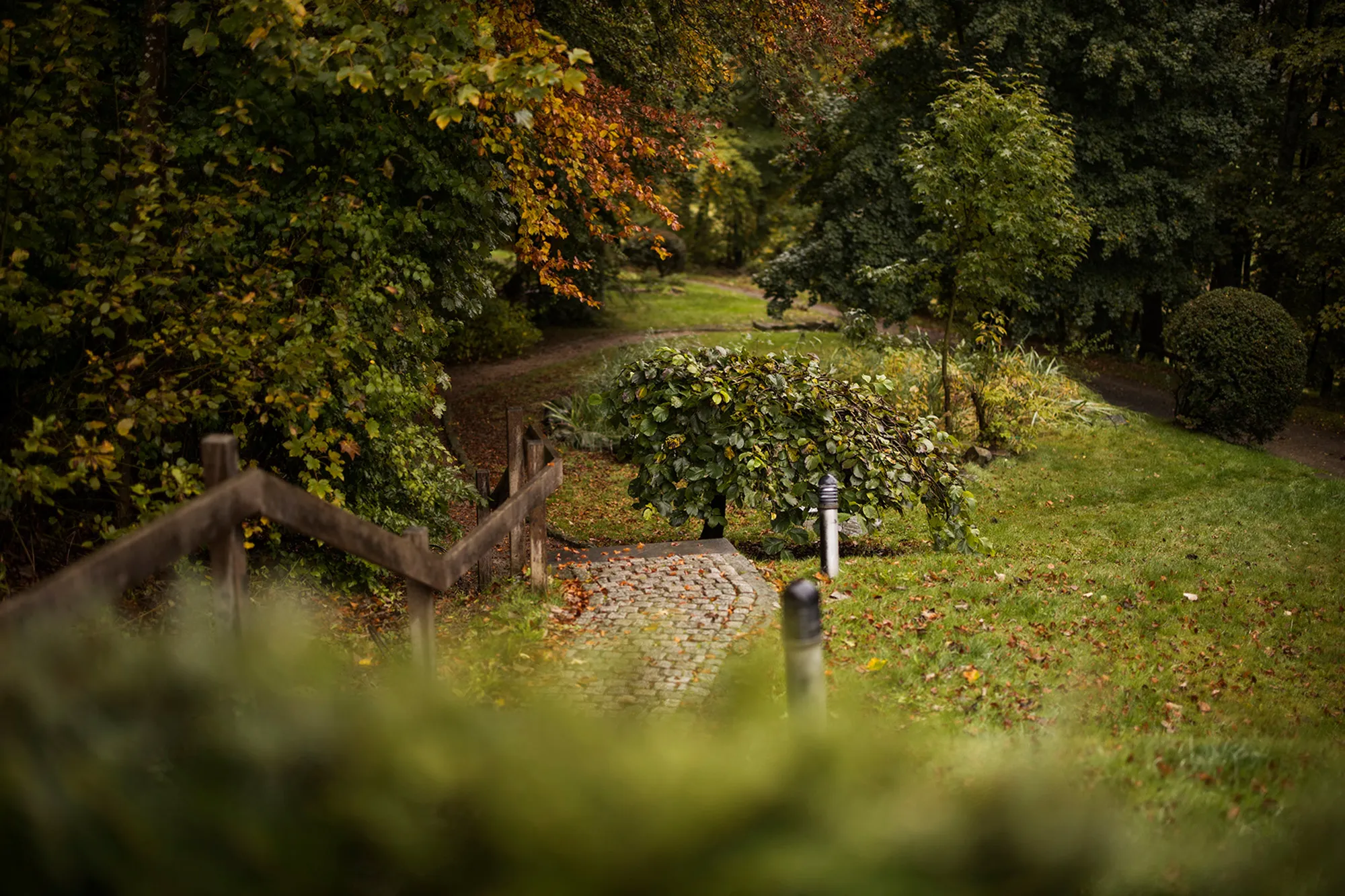 Ein gepflasterter Gartenweg mit Holzgeländer führt durch herbstlich gefärbte Bäume und grüne Büsche.