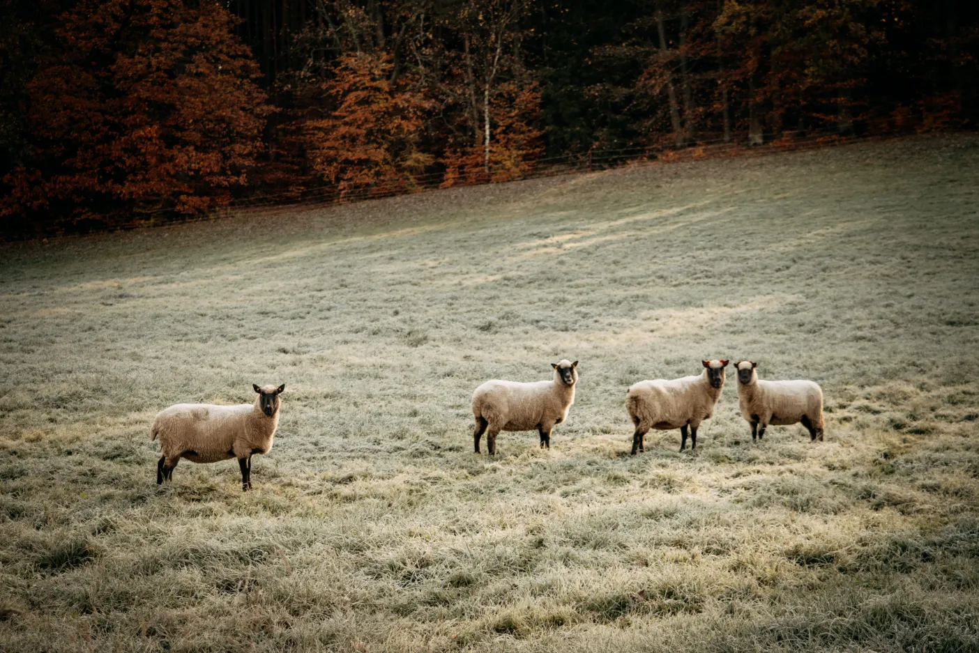 tenfold zahradní domek na Hrubé Skále
