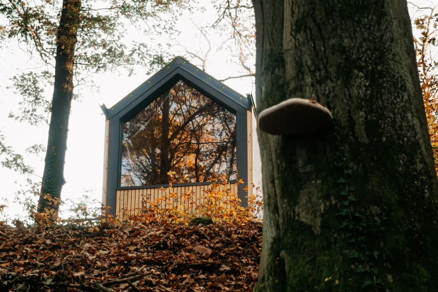 tenfold zahradní domek na Hrubé Skále