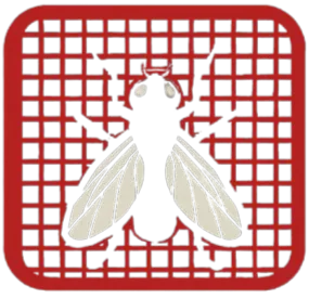 EC-EY Fliegengitter logo featuring a fly inside a red frame