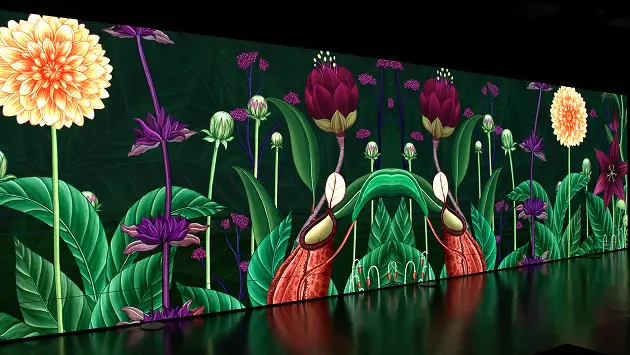 Story of Flowers