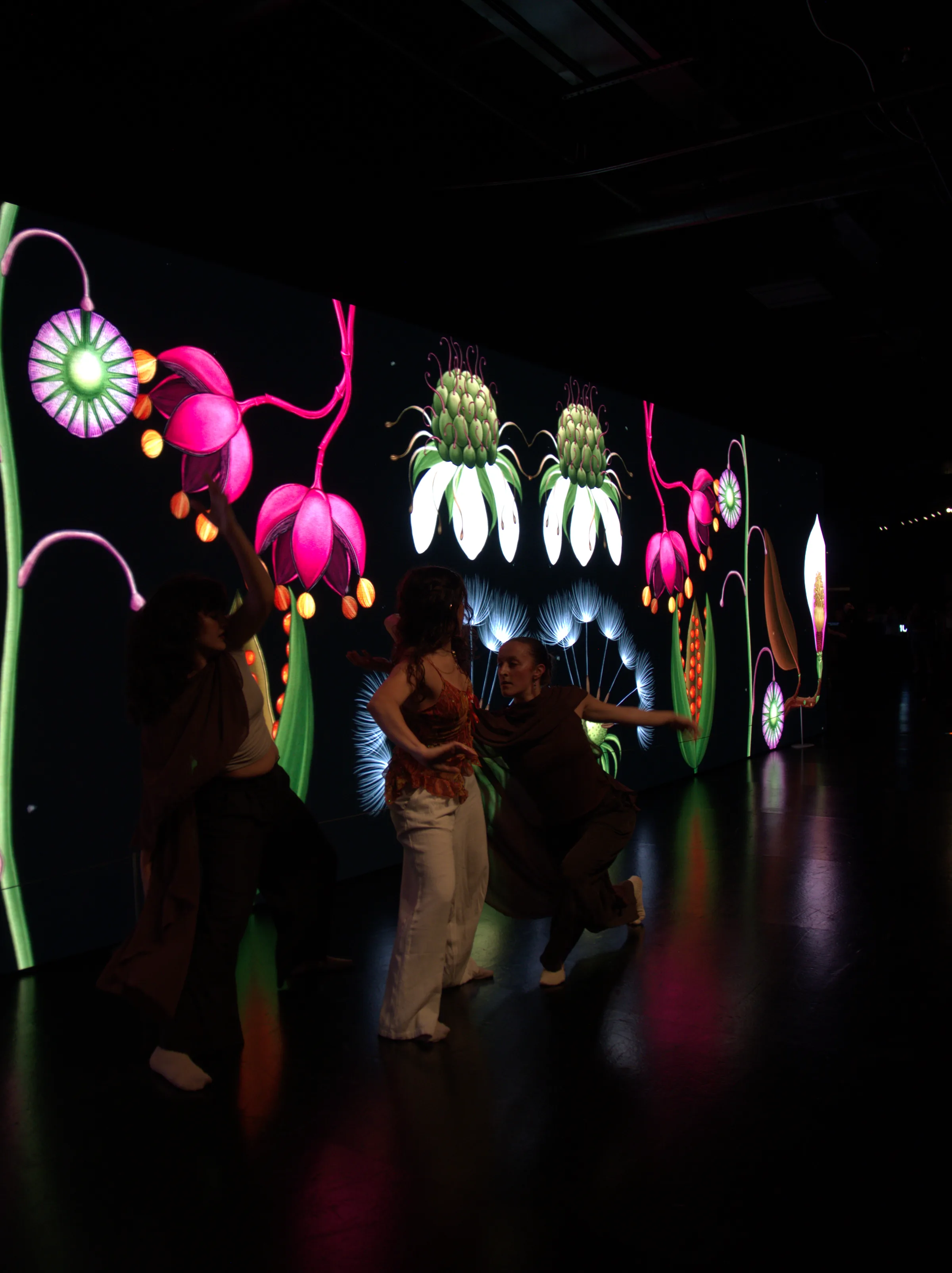 Immersive Performances