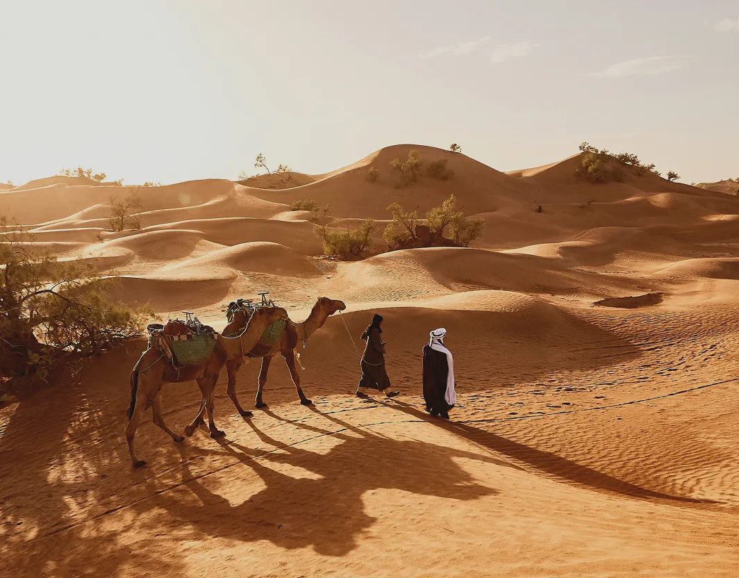 Exclusive Offer Image