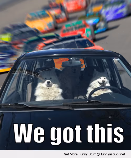 two dogs driving a car with a caption "we got this" below them