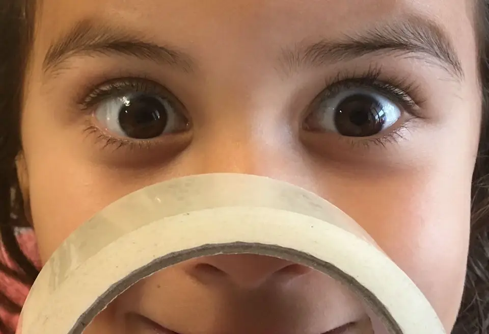 image of various pet food brands on shelves