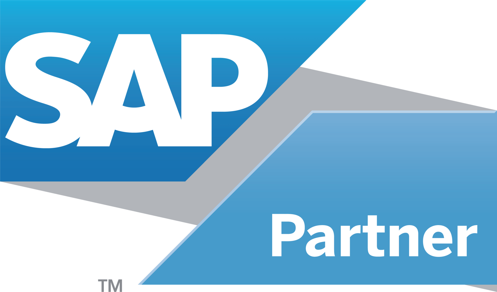 SAP Partner logo with blue geometric shapes and white text.