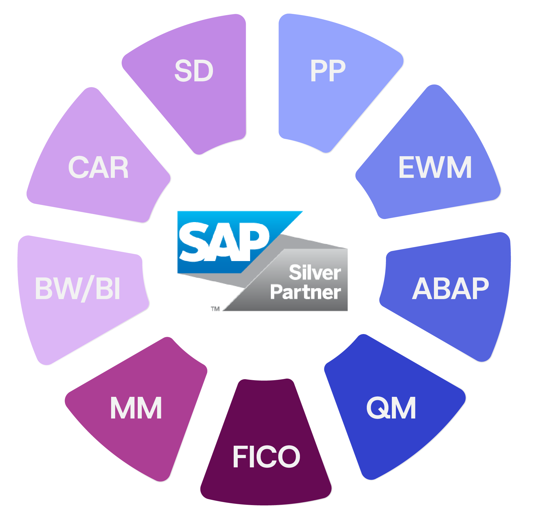 Circular diagram with SAP Silver Partner logo in the center, surrounded by nine colored segments labeled SD, PP, EWM, ABAP, QM, FICO, MM, BW/BI, and CAR.