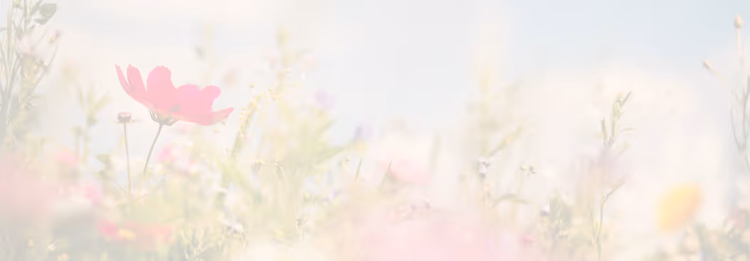 Weiche Nahaufnahme von rosa und weißen Blumen in einem sonnenbeschienenen Feld.