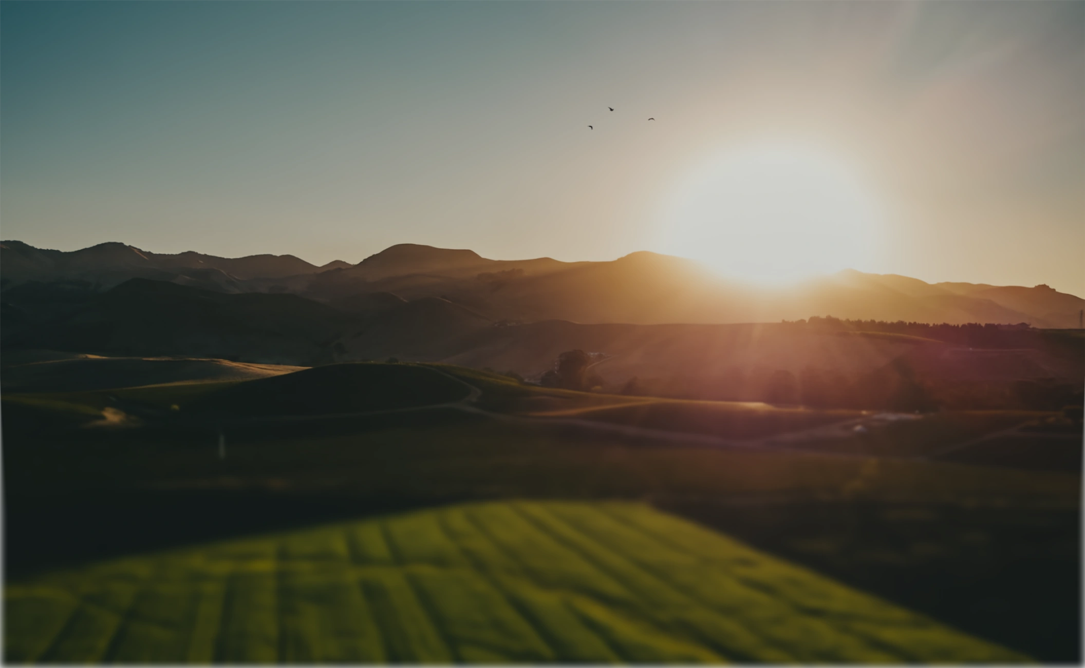 Verdentix Hero Image