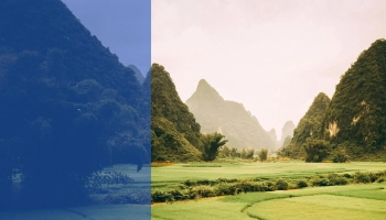 Riziculture image, montagne image