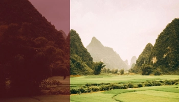 Image montagne, Riziculture view