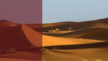 Image desert
