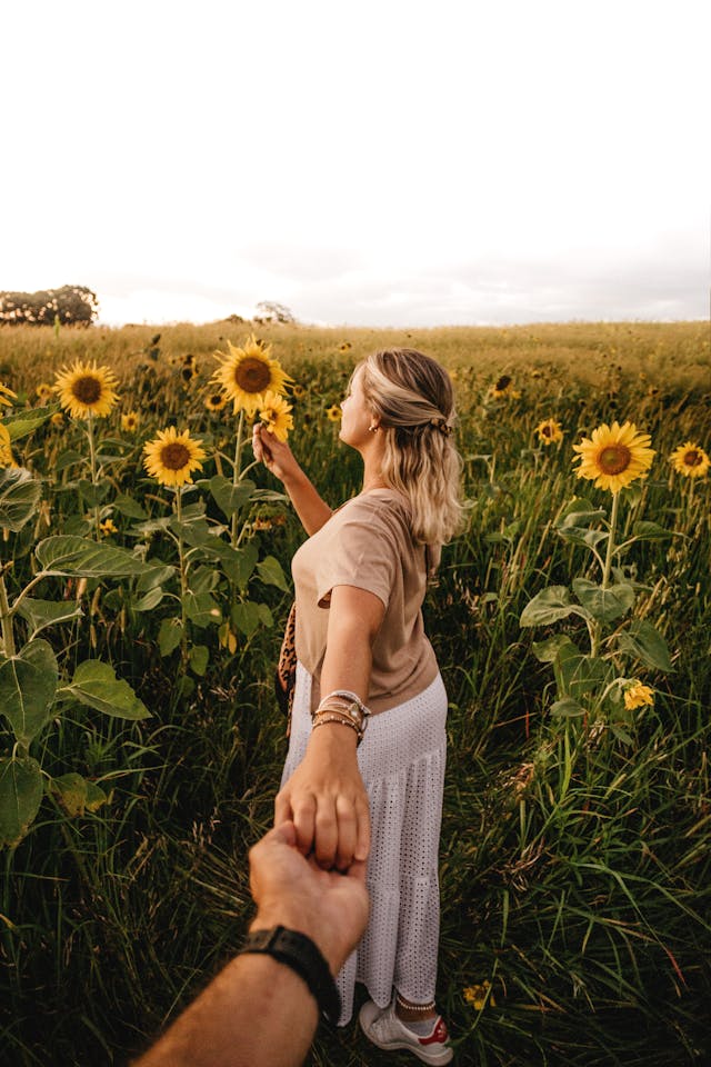 Une femme aux cheveux blonds tenant la main de son partenaire, marchant dans un champ de tournesols au coucher du soleil.