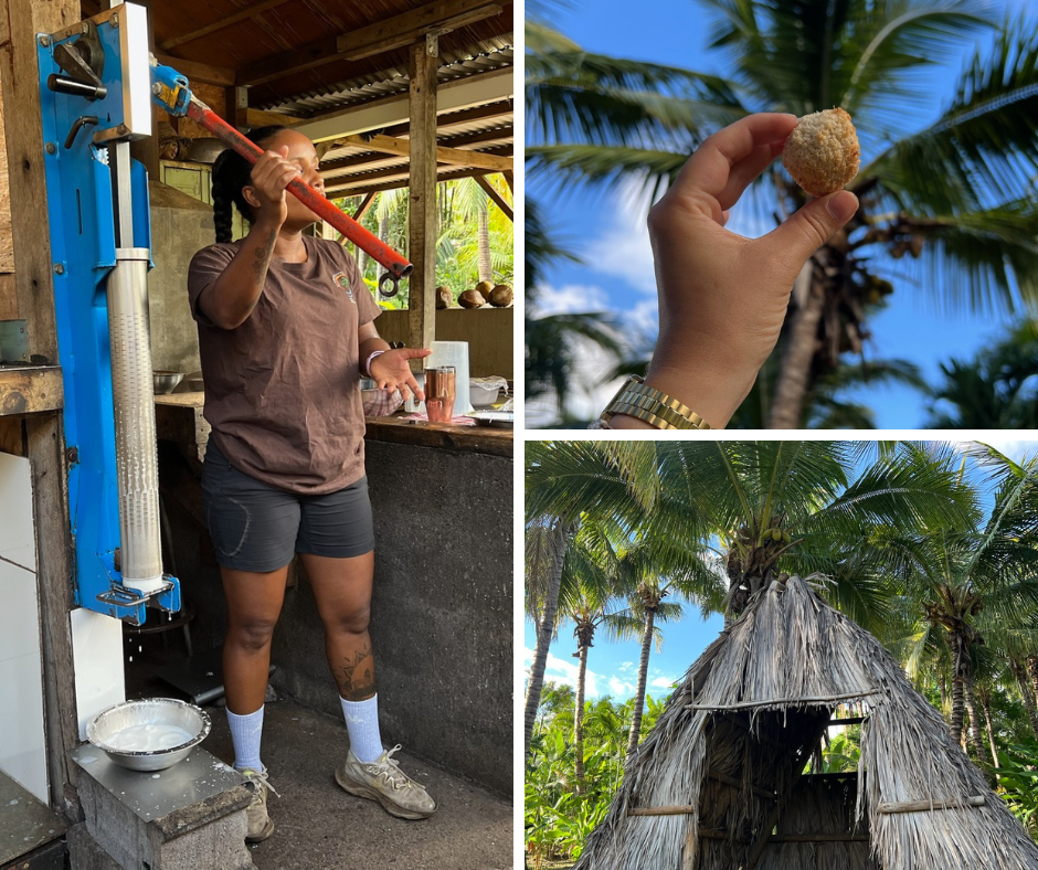Voayge à la Réuinon en couple avec A La Johanne
