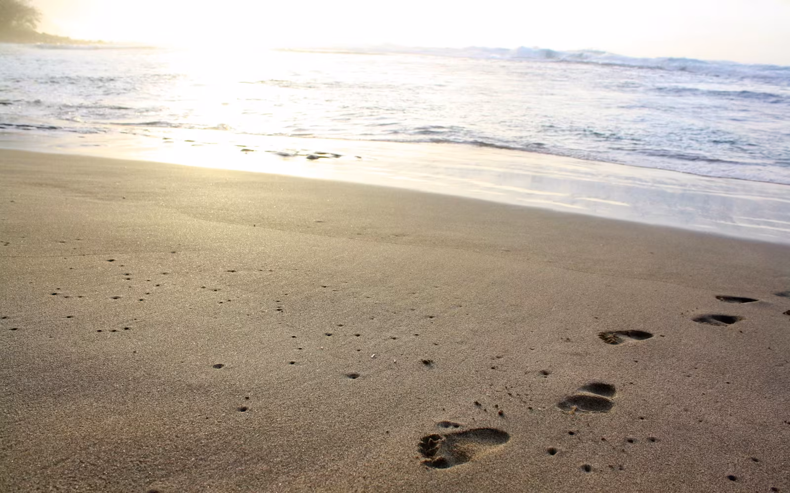 5 Easy and Actionable Ways to Reduce Your Company’s Carbon Footprint