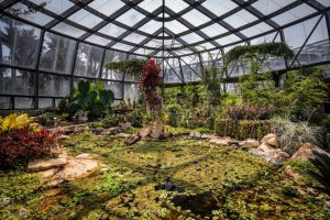 El Tropicario