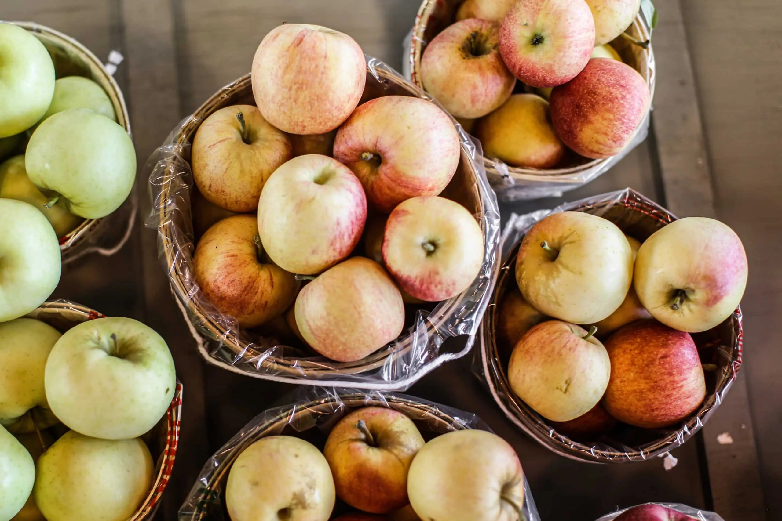 Sustainability News Snapshot #17