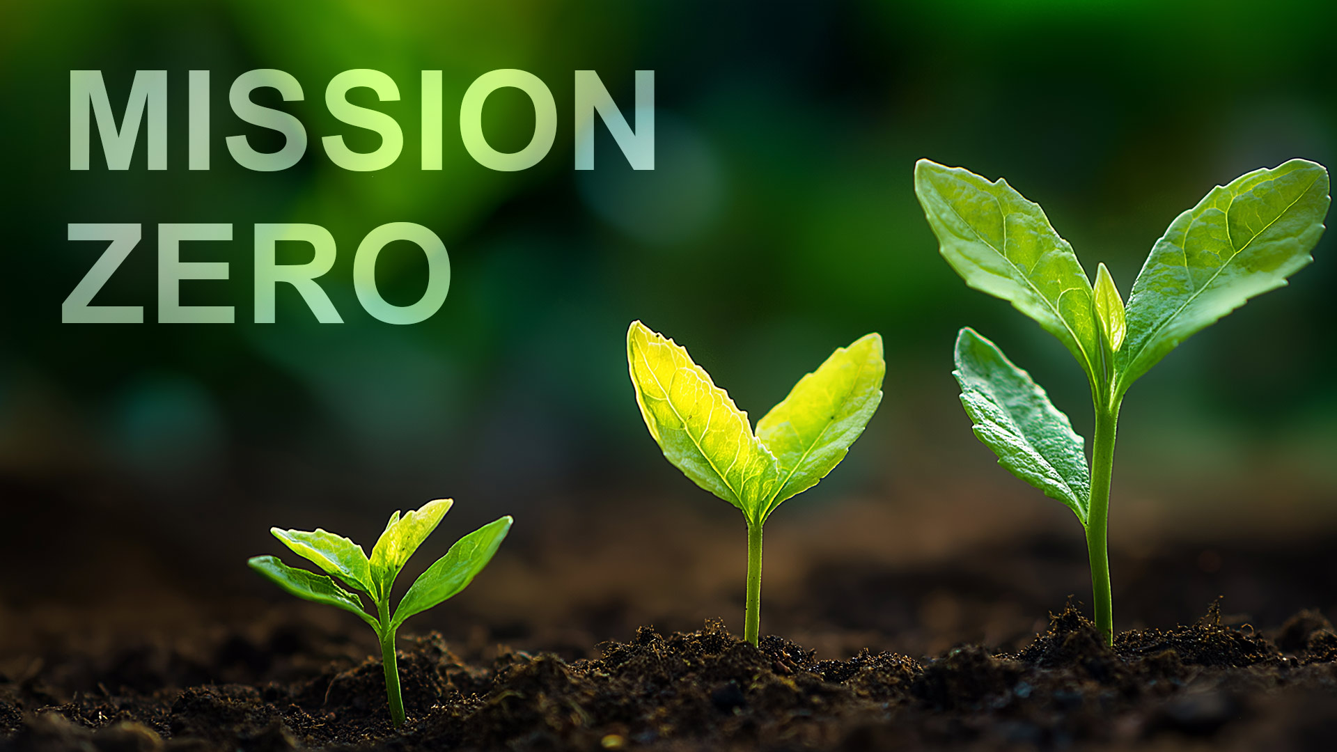 Sustainability Snapshot #24
