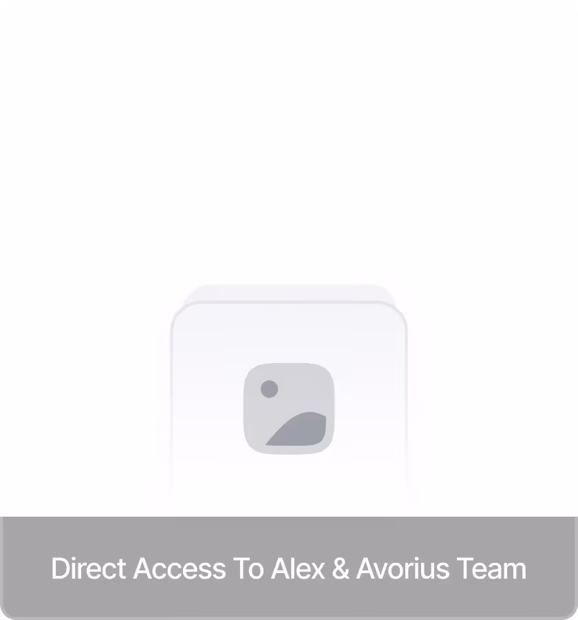 Icon representing direct access with text below reading 'Direct Access To Alex & Avorius Team.'
