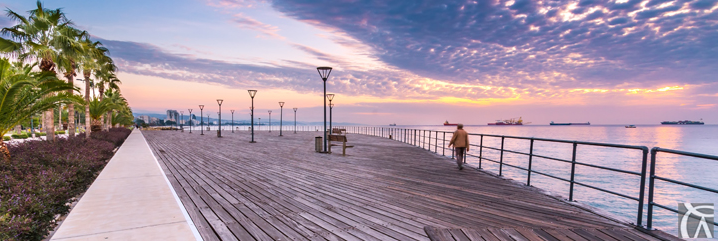 Cyprus Investment Programme Amendments 2019