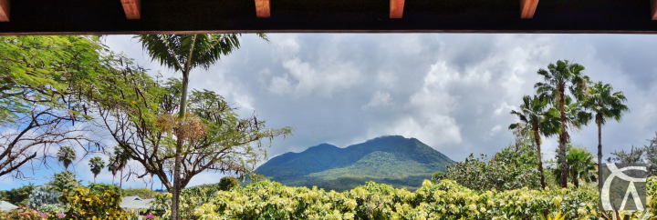 Saint Kitts & Nevis Reduces Contribution for a Family of Four