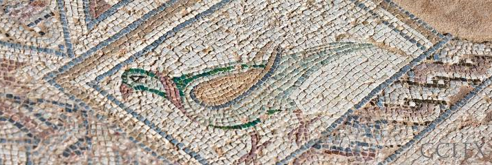 Cyprus Investment Programme