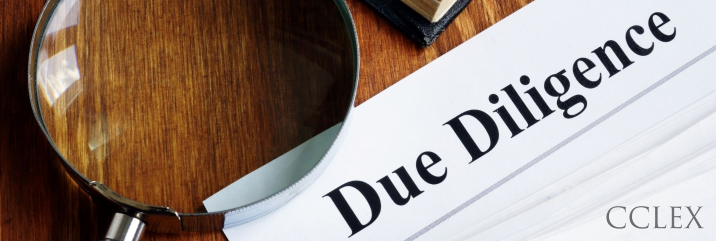 Malta Permanent Residence Programme Due Diligence Process