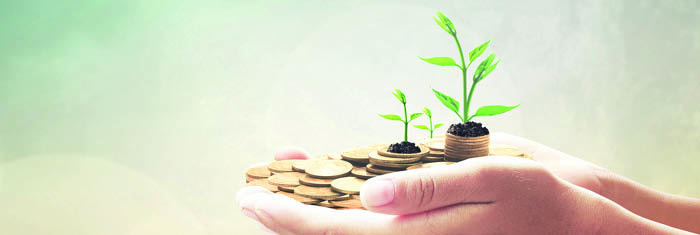 The Green Bond Revolution