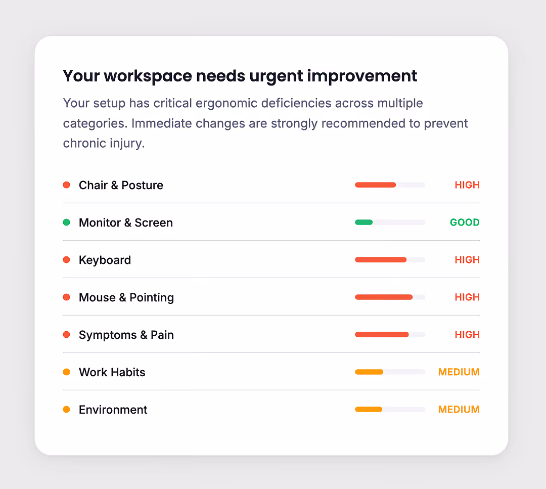 Get Your Own Workplace Ergo Assessment Report