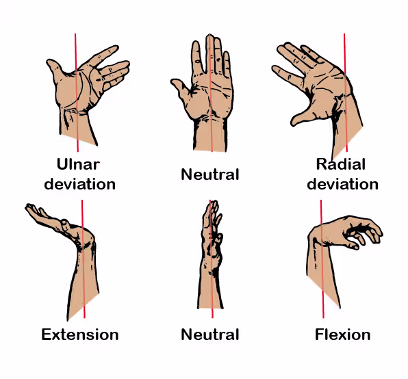 Diagram showing wrist positions including ulnar deviation, neutral alignment, radial deviation, extension and flexion, illustrating movements that can affect wrist comfort and carpal tunnel relief.