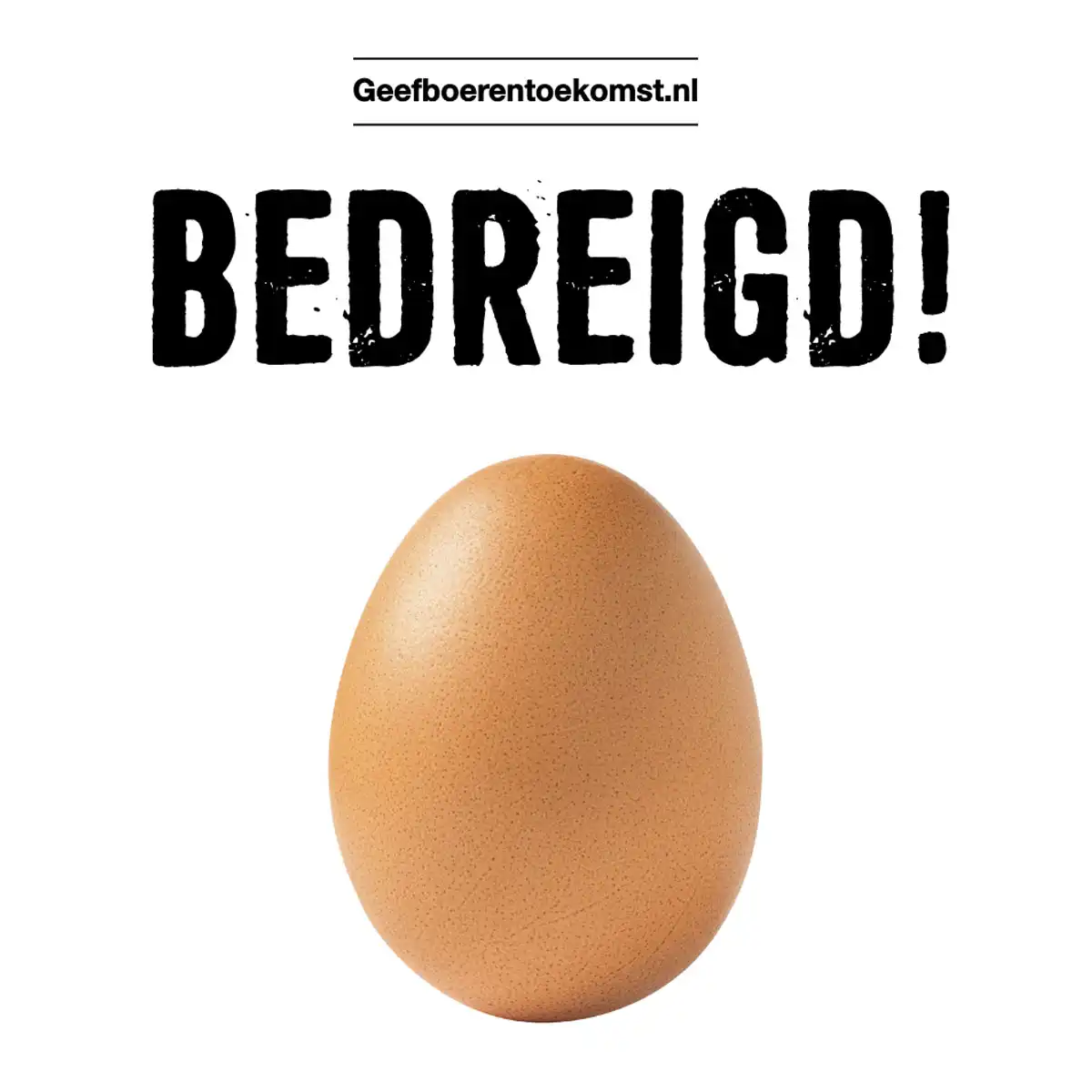 Spiegel | ZLTO