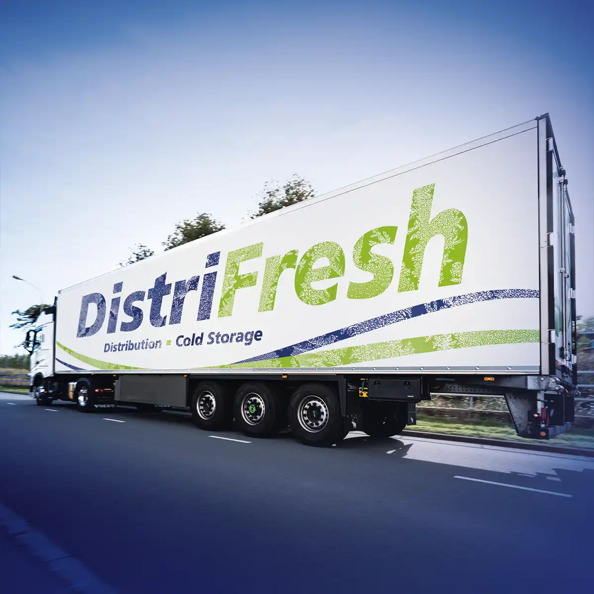 Spiegel | Distrifresh