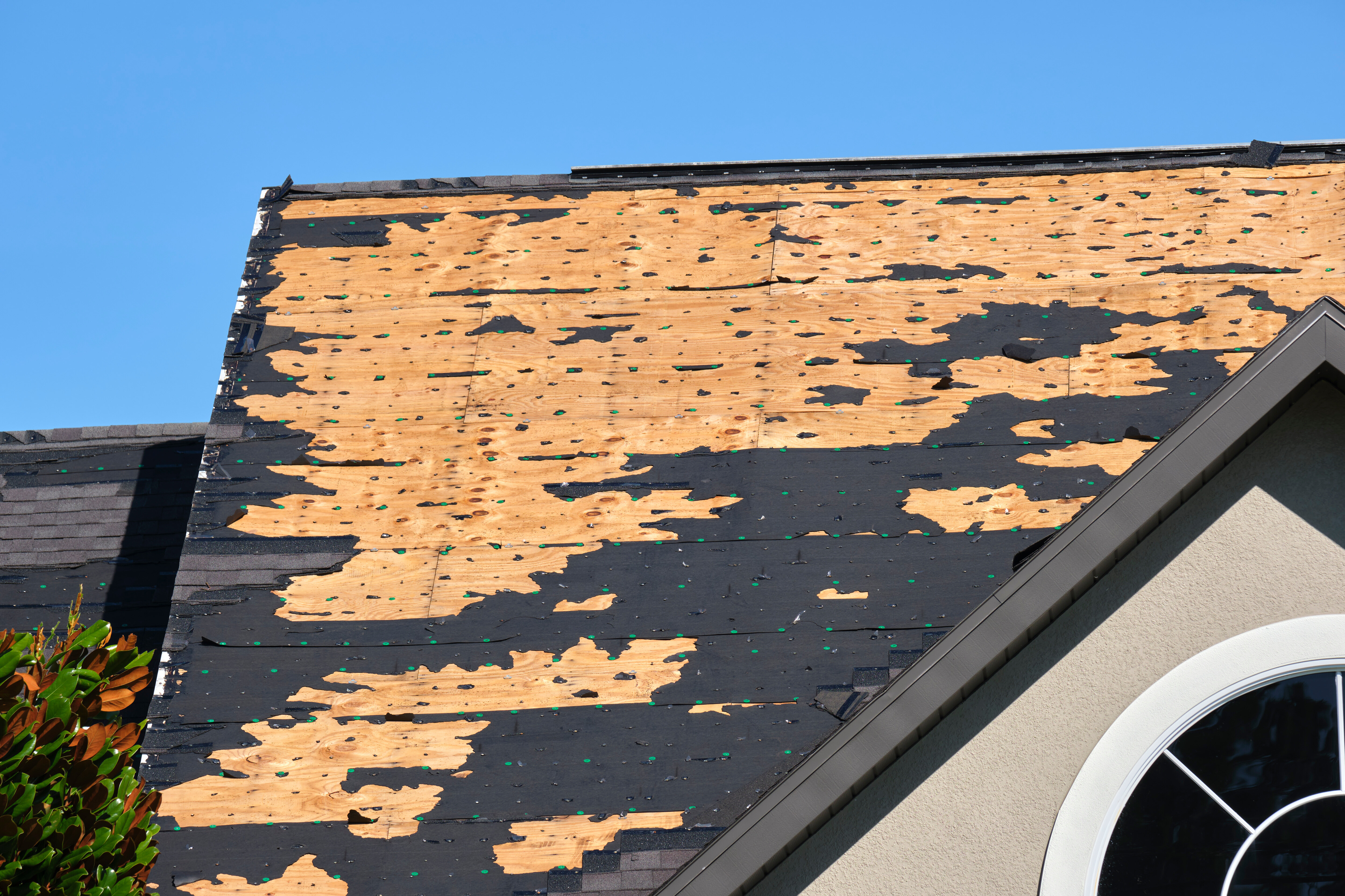 Residential roof with missing shingles caused by high winds, ready for professional storm restoration repair.