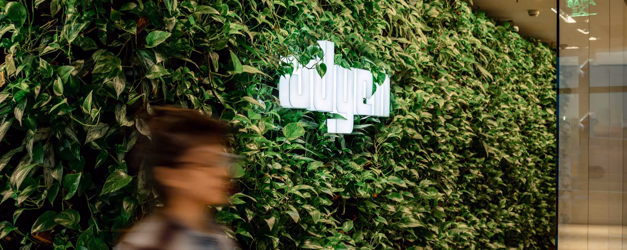 New partnership: payments with Adyen