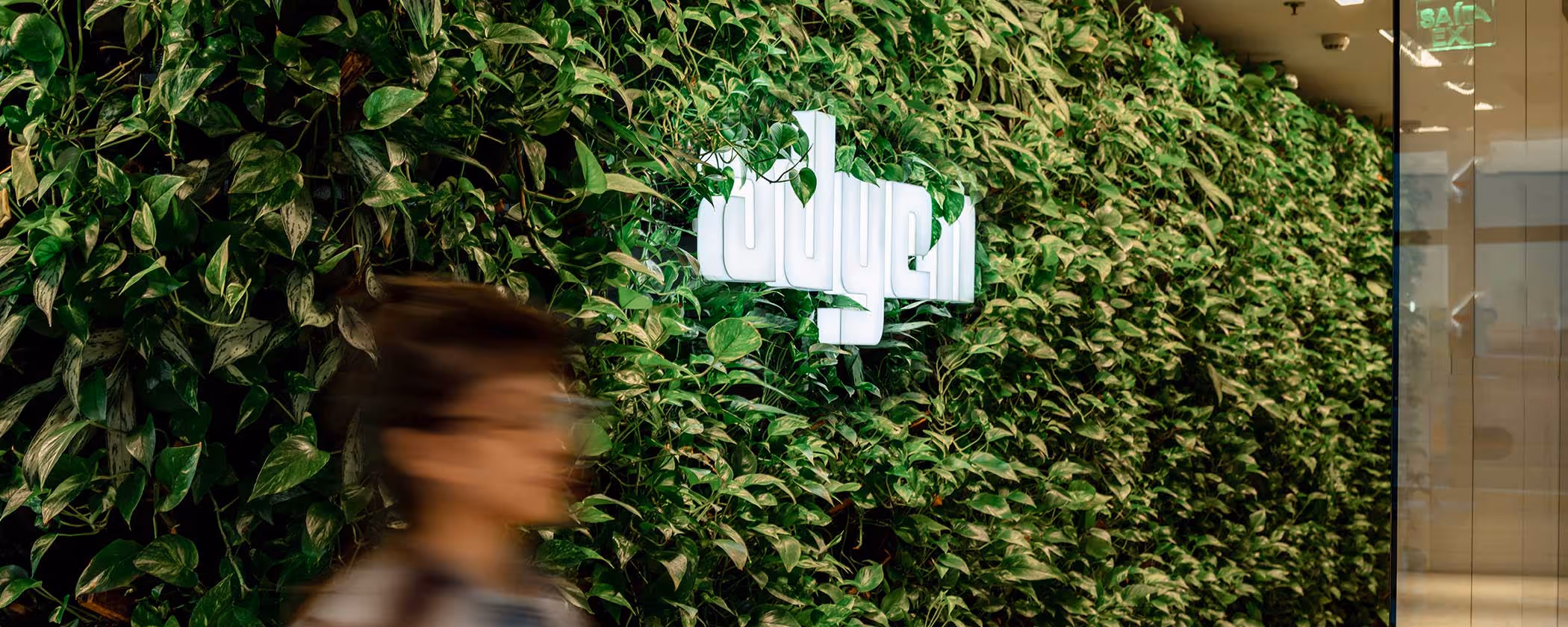 Dynamics 365 Adyen integration