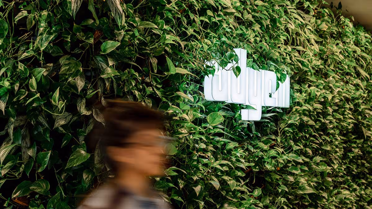 Dynamics 365 Adyen integration